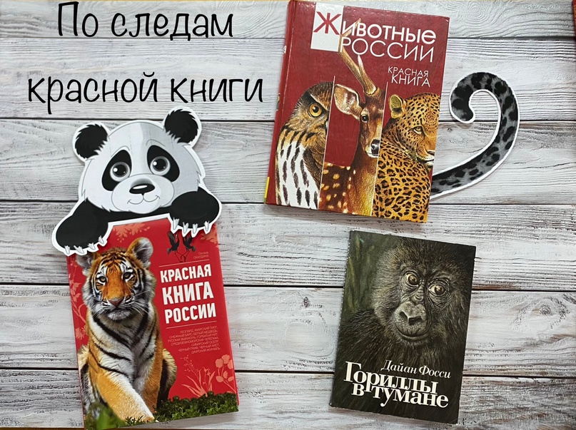 По следам Красной книги.