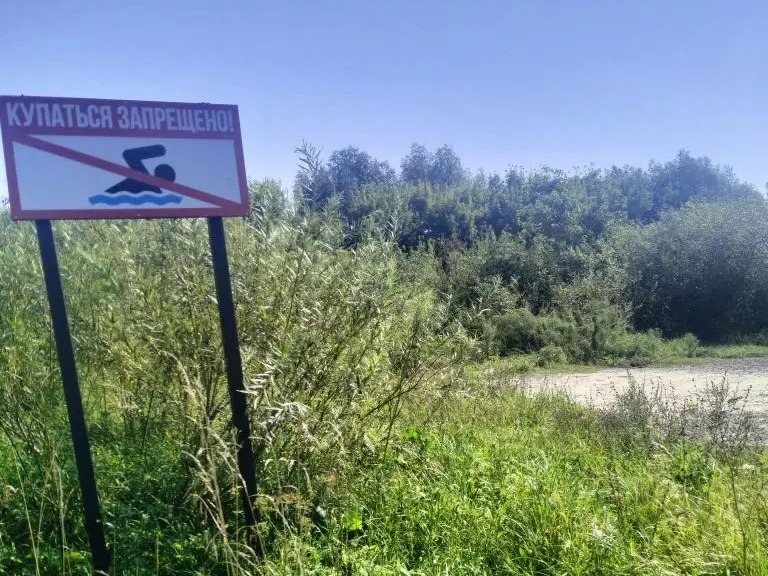 Безопасное лето.