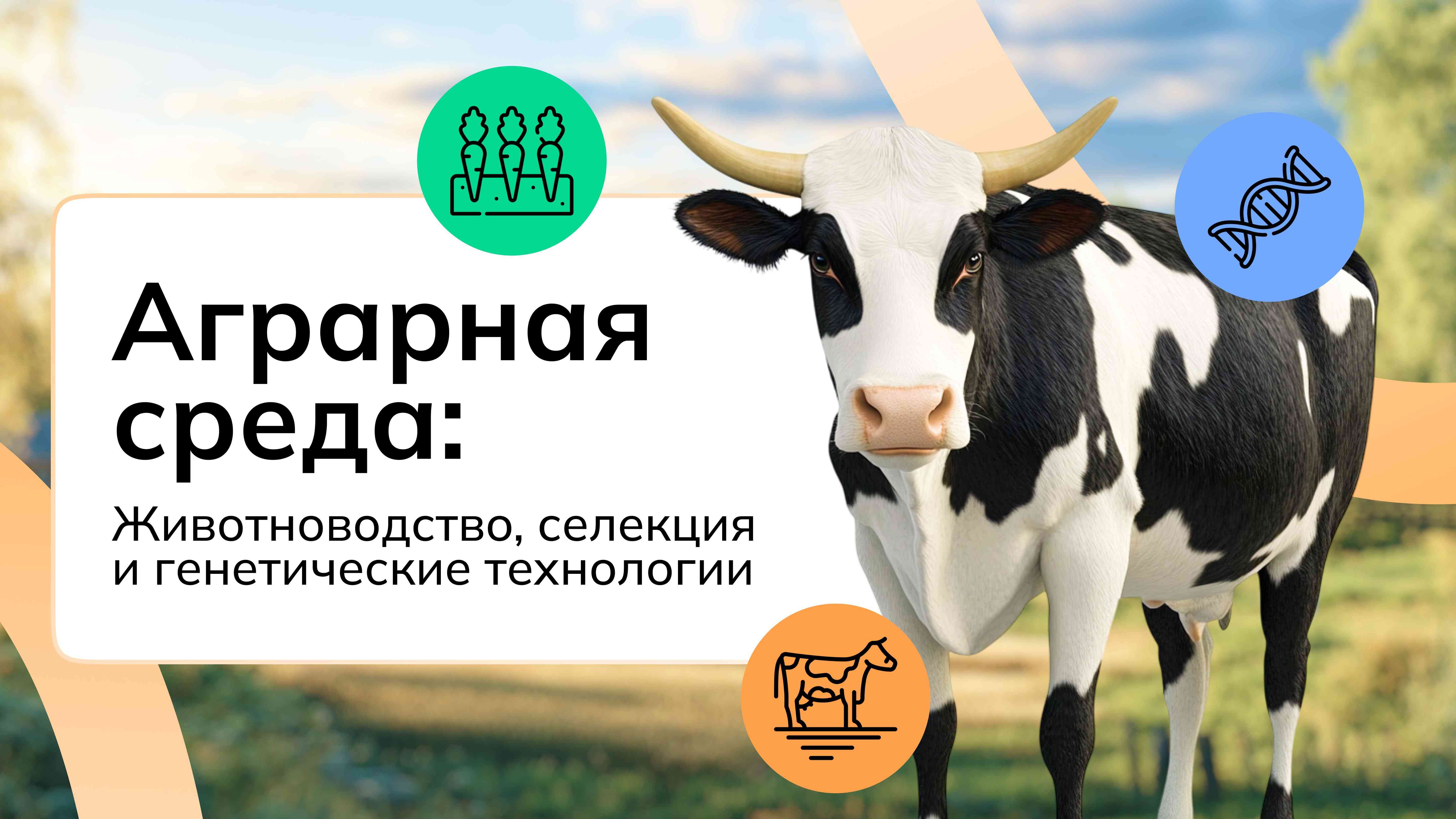 Россия - мои горизонты..