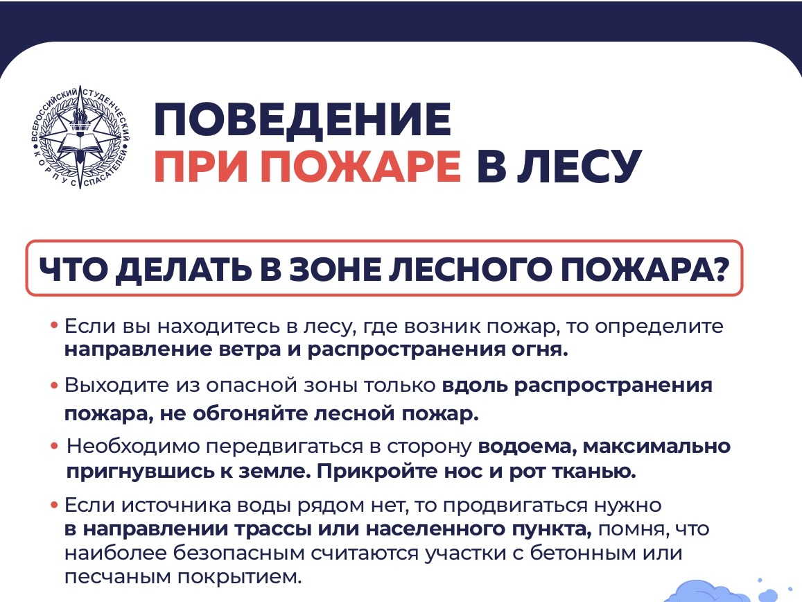 Поведение при пожаре в лесу.